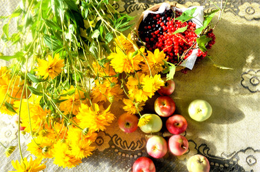 Similar image 21712836