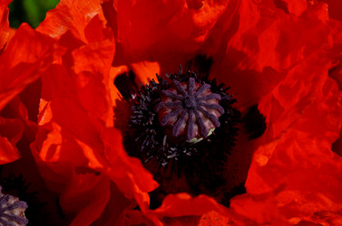 Similar image 21714335