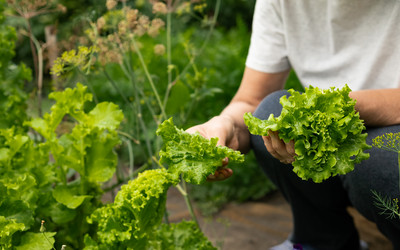 Similar image 21717162