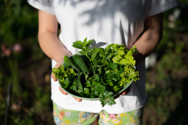 Similar image 21717164