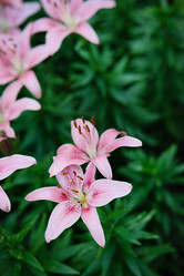 Similar image 21717166