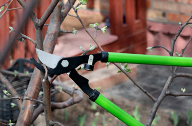 Similar image 21717167