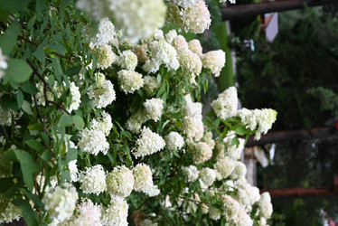 Similar image 21717173