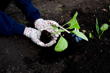 Similar image 21717176