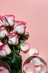 Similar image 21717181