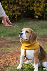 Similar image 21717183