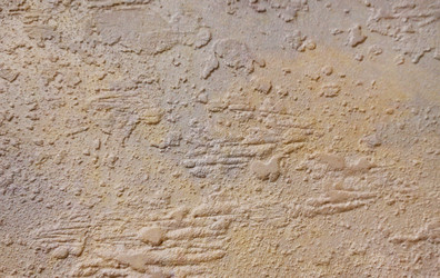 Similar image 21717186