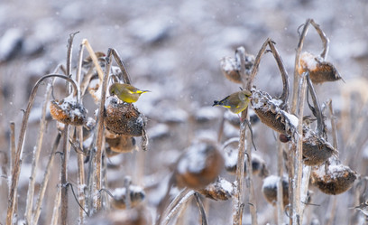 Similar image 21714218