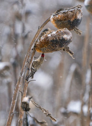 Similar image 21714219