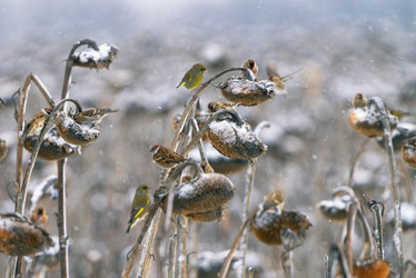 Similar image 21714220