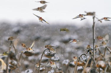 Similar image 21714221