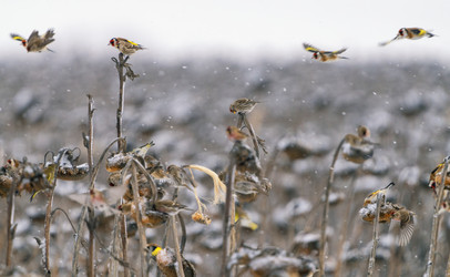 Similar image 21714222