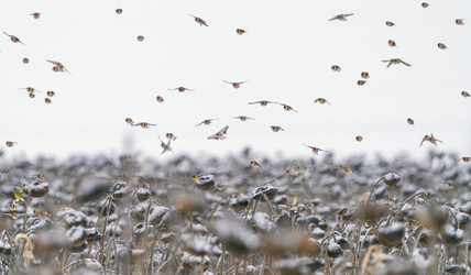 Similar image 21714337