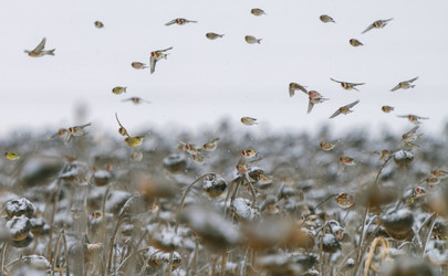 Similar image 21714339