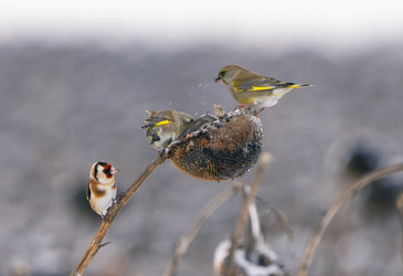 Similar image 21714340