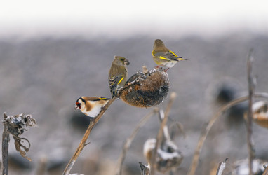 Similar image 21714341