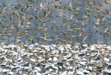 Similar image 21714343