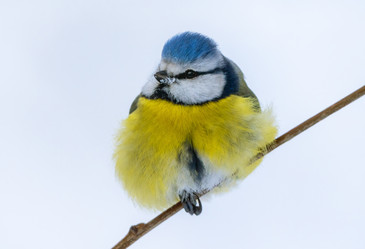 Similar image 21714344