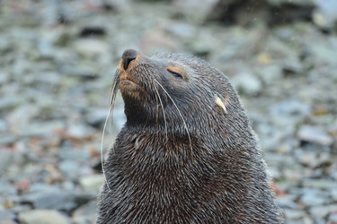 Similar image 21712837