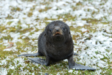 Similar image 21712838