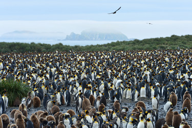 Similar image 21712840