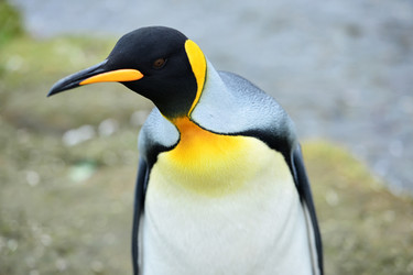 Similar image 21712841