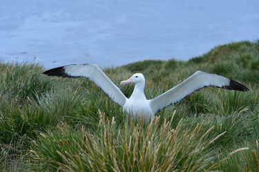 Similar image 21712843