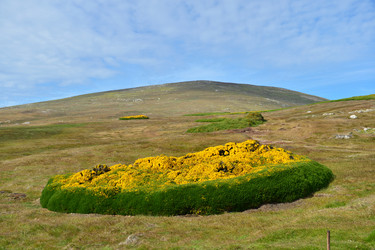 Similar image 21712852