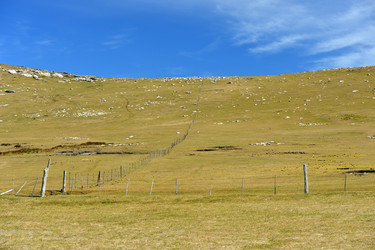 Similar image 21712853