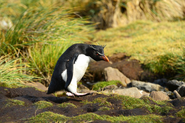 Similar image 21712855