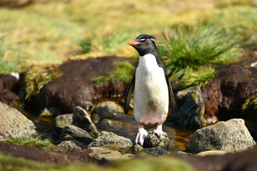 Similar image 21712857