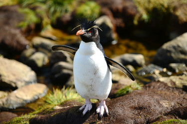 Similar image 21712858