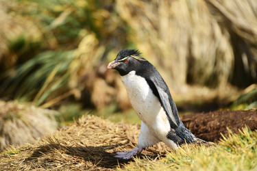 Similar image 21712859