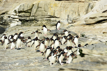 Similar image 21714350