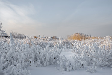 Similar image 21714351