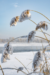 Similar image 21714352