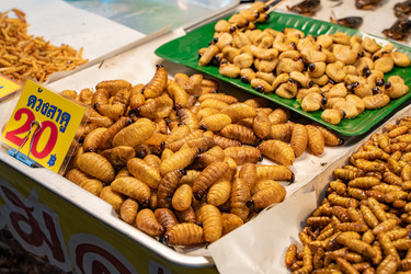 Similar image 21714357