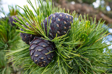 Similar image 21714361