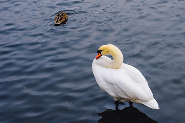 Similar image 21713161