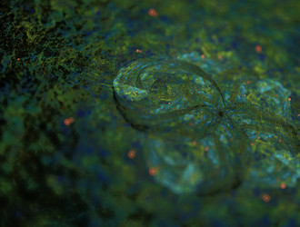 Similar image 21718920