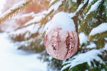 Similar image 21714811