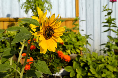 Similar image 21714365