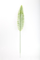 Similar image 21715449