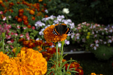 Similar image 21714368