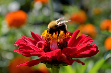 Similar image 21714369