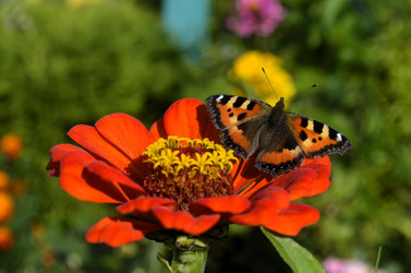 Similar image 21714370