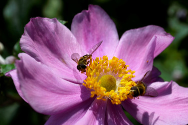 Similar image 21714371