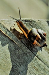 Similar image 21714372