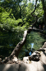 Similar image 21715450