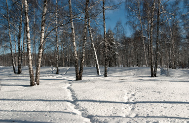 Similar image 21715452